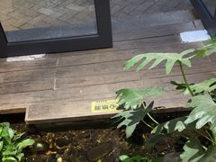 -邈墨茶馆(大兜路1号店)