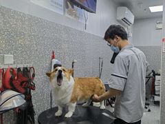 -宠物家(角门东店)