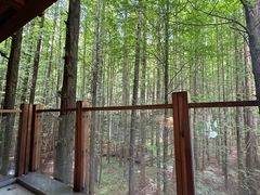 -山王坪喀斯特国家生态公园