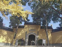 -灵岩山风景区