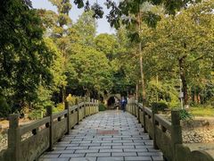 -广西壮族自治区药用植物园