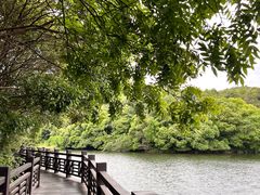 -白马涧龙池景区