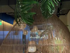 -大头椰·椰子鸡火锅(南宁万象城店)