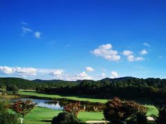 -阳光高尔夫俱乐部