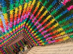 -大塘金香草谷