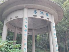 -北仑森林植物园