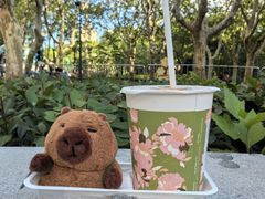 -CoCo都可(虹口龙之梦店)