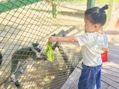 -水上乐园·欢乐世界