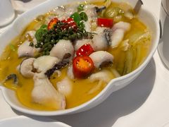 -洋洋中餐馆·SINCE 1997(龙湖星湖天街店)