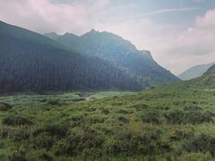 -山丹皇家马场