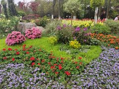 -铁山坪森林公园