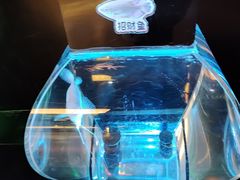 -海合安青岛极地海洋公园