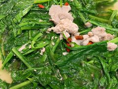 土猪浸野麦菜-鹅城