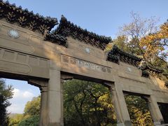 -灵谷景区