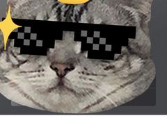 -南阳建业森林半岛假日酒店