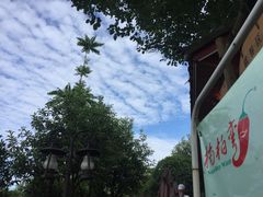 -楠柏弯休闲山庄(梨花溪店)