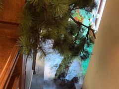 -東大方(海宁海昌路店)
