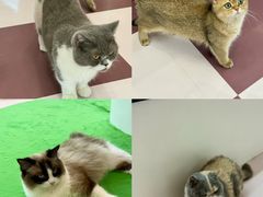 -福田卓悦INTOWN购物中心