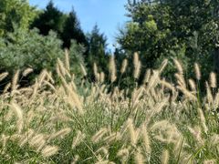 -北京动物园-畅观楼