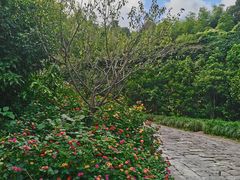 -宁波市保国寺古建筑博物馆