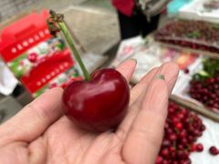 -张吉祥花椒肉火烧(老潍县美食城店)