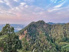 -南山植物园