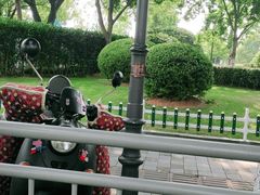 -名羊天下·火锅烧烤自助料理(镇明路店)