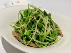 黑腐竹豆苗-北京厨房(西安SKP店)