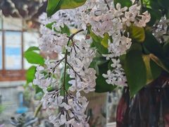 -清真天水老巷道餐厅