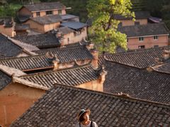 -杨家堂村