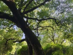 -宁波市保国寺古建筑博物馆