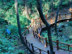 -大岭沟猕猴桃谷风景区