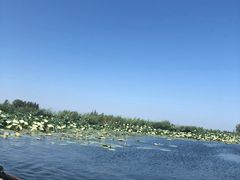 -白洋淀景区