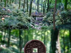 -永泉忆江南12景区