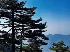 -黄山风景区