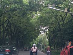 -中南财经政法大学(首义校区)