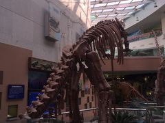 -陕西自然博物馆