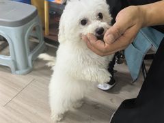 -韩湘水博园