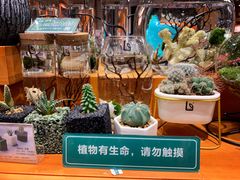 -西西弗书店&矢量咖啡(来福士广场店)