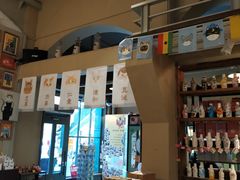 -猫咪博物馆(顶澳仔猫街店)