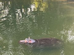 -泉州海丝野生动物世界
