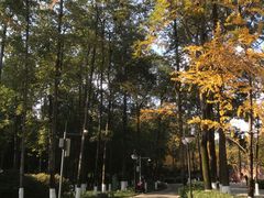 -塔子山公园