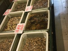 -莆鑫海鲜城(浏河店)