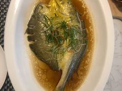 清蒸东海大黄鱼-金汤宴餐厅·粤菜(德云社店)