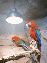 点击看大图 -Zoolung Zoolung动物主题公园(海信广场店)