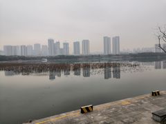 -月湖风景区