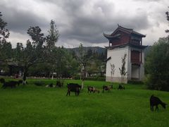 -云南民族村