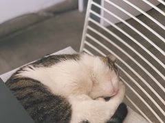 -UNI UNI(环亚凯瑟琳店)