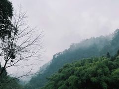 -峨眉山风景名胜区