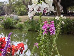 -人民公园(罗湖区)